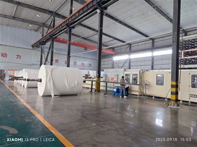 सैनिटरी नैपकिन कैरियर टिशू